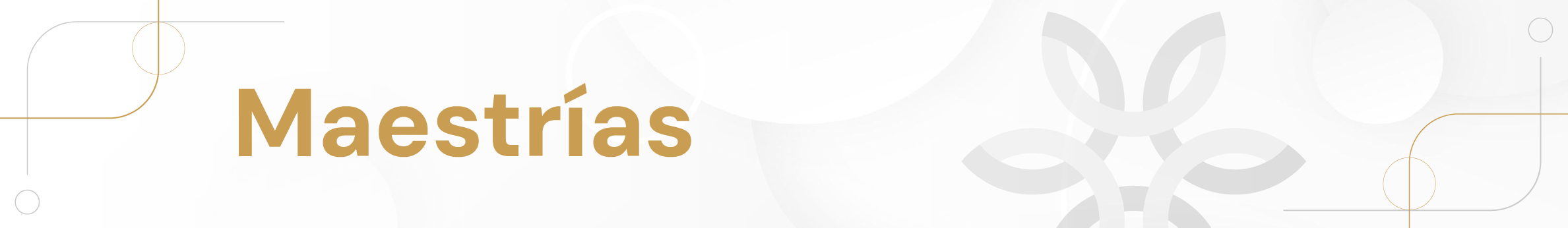 Maestría en Valuación de activos Tangibles e Intangibles | 2026B