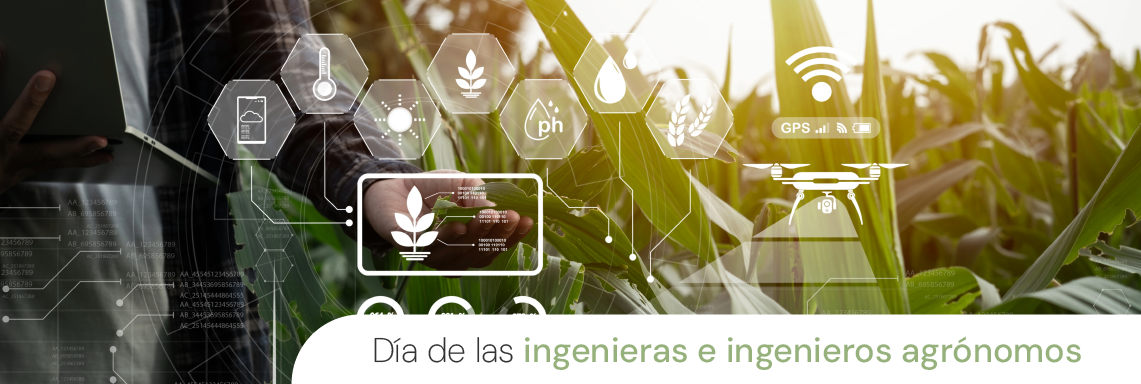 In pa’a ye Ingeniera ñe ye Ingeniero