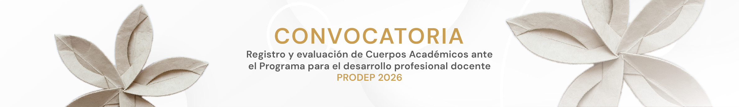 Registro y Evaluación de Cuerpos Académicos PRODEP 2026