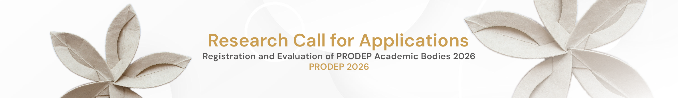 Registration and Evaluation of PRODEP Academic Bodies 2026
